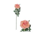 Blütenstiel Irland Rose 66cm