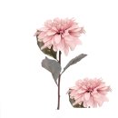 Blütenstiel Chrysantheme 80cm
