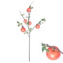 Pflanzenstiel Apfel 89cm