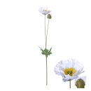 Blumenstängel Mohn 60cm