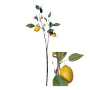Fruchtstängel Zitrone 79cm