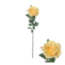 Blütenstiel Irland Rose 66cm