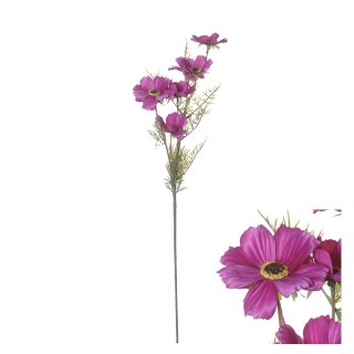 Blütenstiel Cosmos 72cm