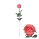 Blütenstiel Rose 75cm