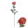 Blütenstiel Rose 75cm