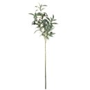 Olivenbaum Zweig 73cm