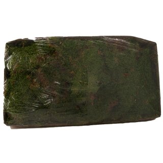 Flachmoos 1kg im Karton