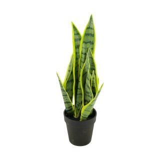 Pflanze Sansevieria künstlich