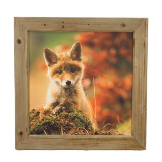 Wandbild Fuchs Linux