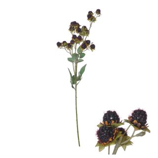 Zweig Brombeere 80cm