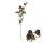 Zweig Brombeere 80cm