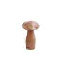 Holzpilz Fungi S