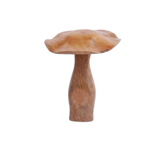 Holzpilz Fungi L