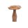 Holzpilz Fungi L