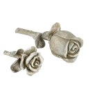 Dekorose Rose assortiert