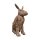 Teak Hase XXXL