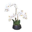 Orchidee im Topf 58cm