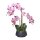 Orchidee im Topf 58cm