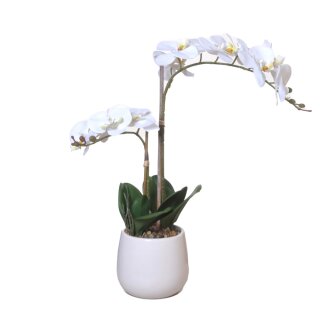 Orchidee im Topf 56cm