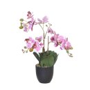 Orchidee im Topf 42cm