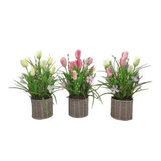 Tulpe im Korb 45cm assortiert