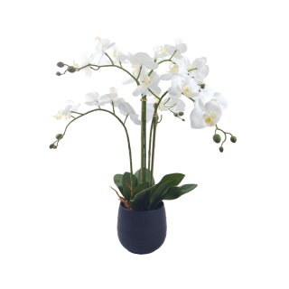 Orchidee im Topf 62cm