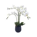 Orchidee im Topf 62cm