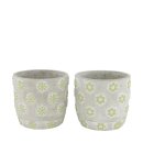 PD Pflanzgef&auml;ss Mipha Zement ass. L