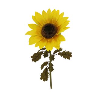 Sonnenblume XL 100cm