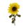 Sonnenblume XL 100cm