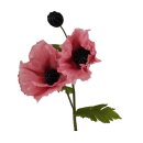 Papaver XL 135cm