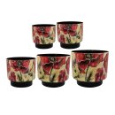 Topf Satz von 5 Camelia poppy