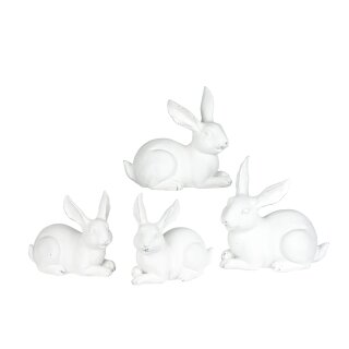 PD Poly Hase Roy assortiert