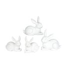 Poly Hase Roy assortiert