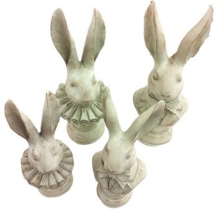 PD Poly Hasen-B&uuml;ste SirundLady Jones assortiert