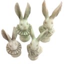 PD Poly Hasen-B&uuml;ste SirundLady Jones assortiert