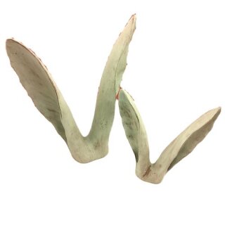 PD Poly Deko Hasen-Ohren L