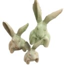 PD Poly Hasen-B&uuml;ste Sir-Edward S