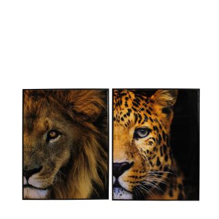Wandbild Leinwand Löwe oder Leopard