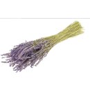 Lavendel extra natur Bund