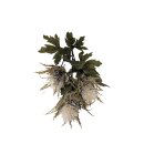 Distel k&uuml;nstlich