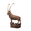 Steinbock Curdin XXL