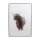 Wandbild Winters Schottisch Highland