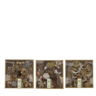 Exotischer Naturmix assortiert