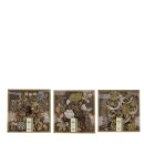 Exotischer Naturmix assortiert