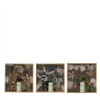 Exotischer Naturmix assortiert