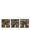 Exotischer Naturmix assortiert