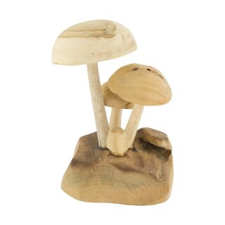 Teakholz Pilz Schruum