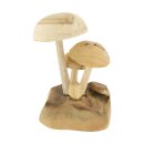 Teakholz Pilz Schruum