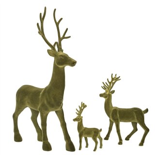 Hirsch Jaques M